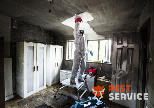 Профессиональная уборка помещений после пожара в Серпухове от 2500 руб: удаление сажи, копоти и запаха гари, глубокая очистка поверхностей и восстановление чистоты. Быстро, безопасно и эффективно.